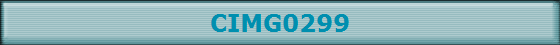 CIMG0299