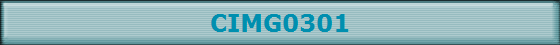 CIMG0301