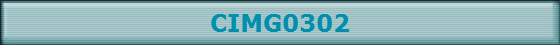 CIMG0302