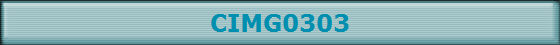 CIMG0303