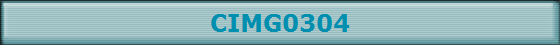 CIMG0304