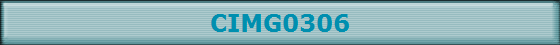 CIMG0306