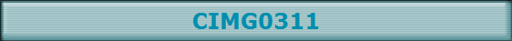 CIMG0311