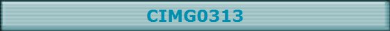 CIMG0313