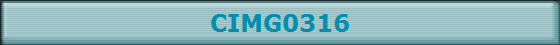 CIMG0316