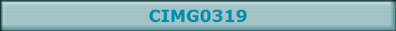 CIMG0319