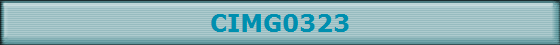 CIMG0323