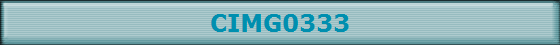 CIMG0333