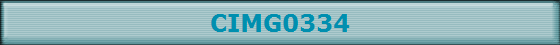 CIMG0334