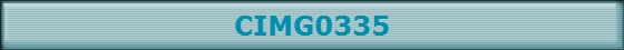 CIMG0335