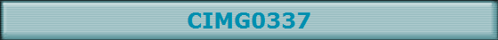 CIMG0337