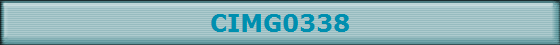 CIMG0338