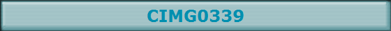 CIMG0339
