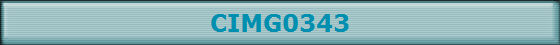CIMG0343