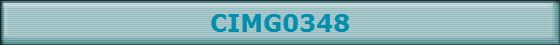 CIMG0348