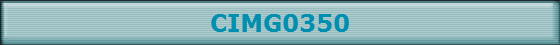 CIMG0350