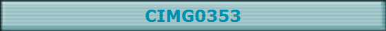CIMG0353