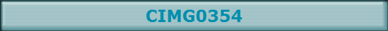 CIMG0354