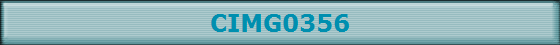 CIMG0356