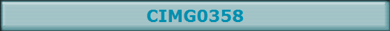 CIMG0358