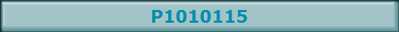 P1010115