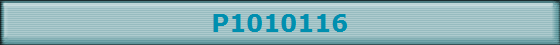 P1010116