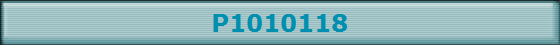 P1010118