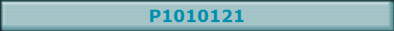 P1010121