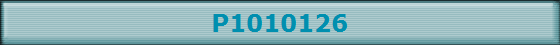 P1010126