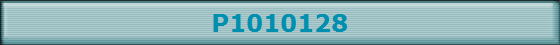 P1010128