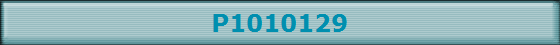 P1010129
