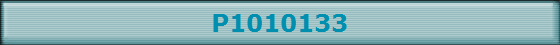 P1010133