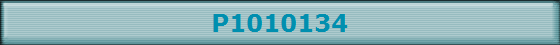 P1010134