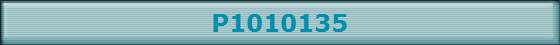 P1010135