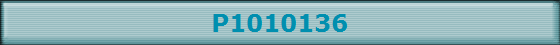 P1010136