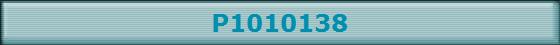 P1010138