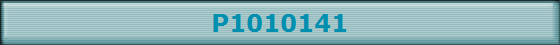 P1010141