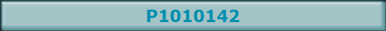 P1010142
