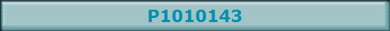 P1010143