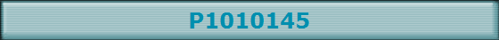 P1010145
