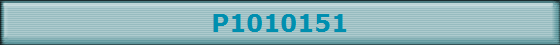 P1010151