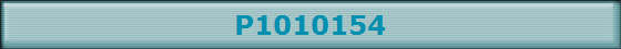 P1010154