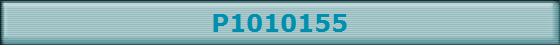 P1010155