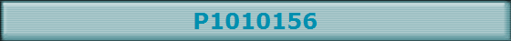 P1010156
