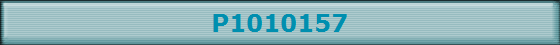 P1010157