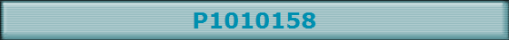 P1010158