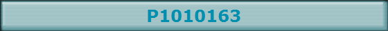 P1010163