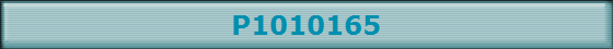 P1010165