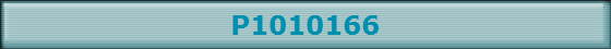P1010166