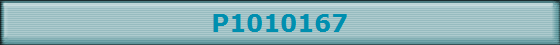P1010167